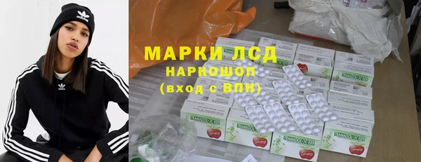 индика Алексин