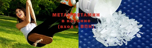индика Алексин