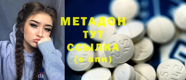 индика Алексин