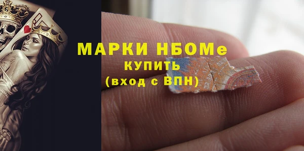 индика Алексин