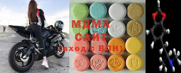 индика Алексин