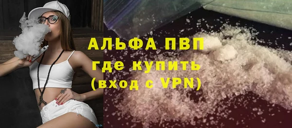 индика Алексин