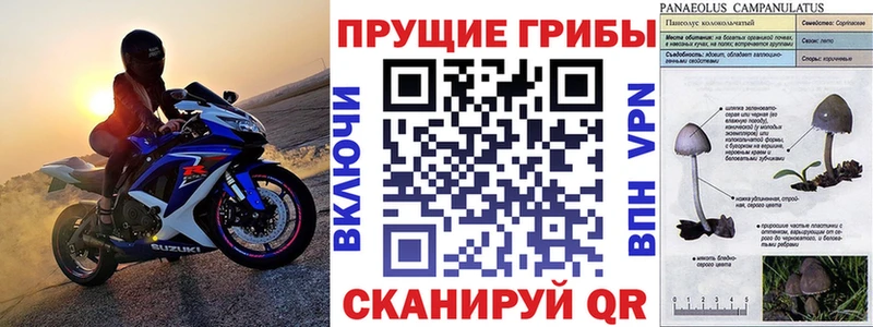 Галлюциногенные грибы Psilocybine cubensis Алатырь